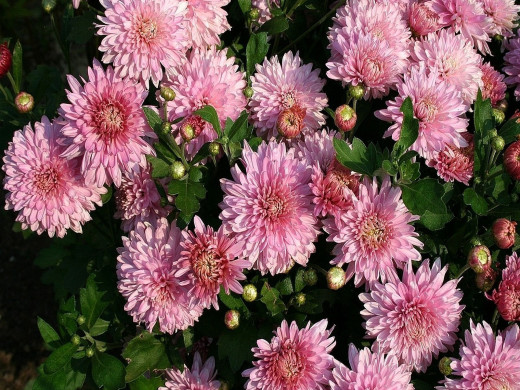 542751 (a): :1600x1200